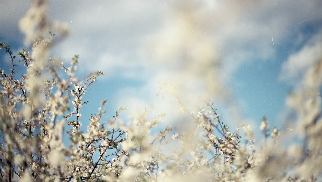 自分を責める方法をやめて自己受容へ｜頑張れない日から始まる3つのステップ